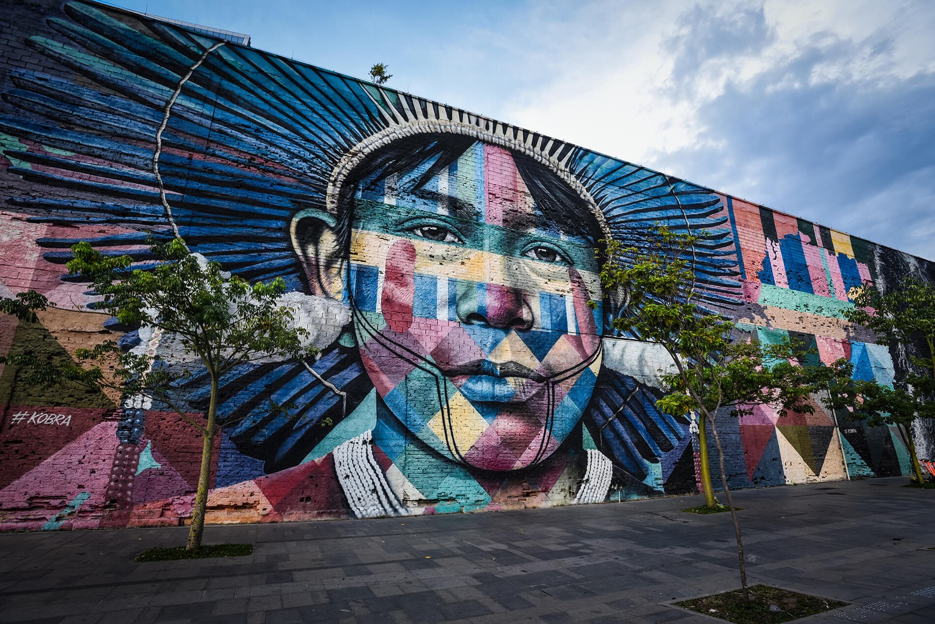 DiCria - Kobra Rio Mural